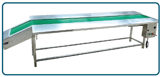 packing-conveyor-rbtpharmatech
